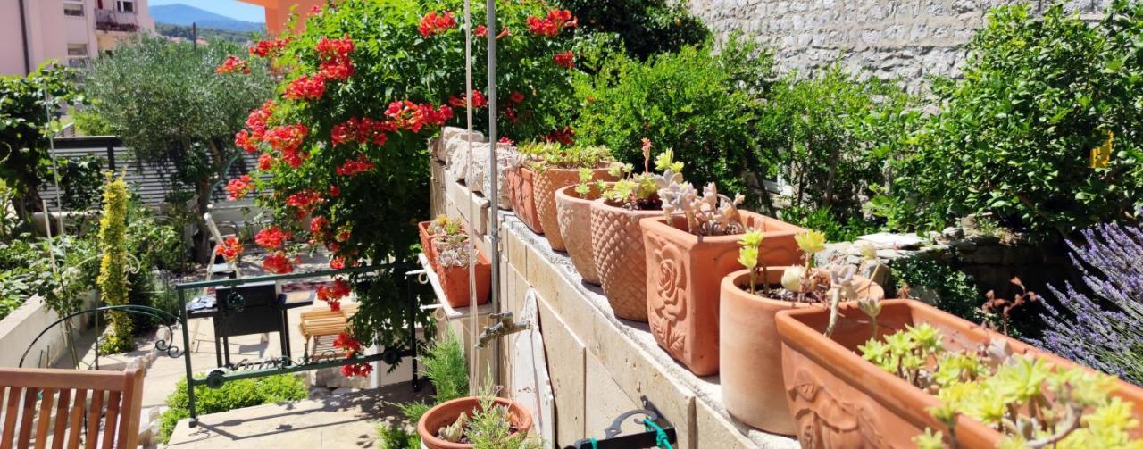 Apartment Alena With Terrace And Garden Center Jelsa 젤사 외부 사진