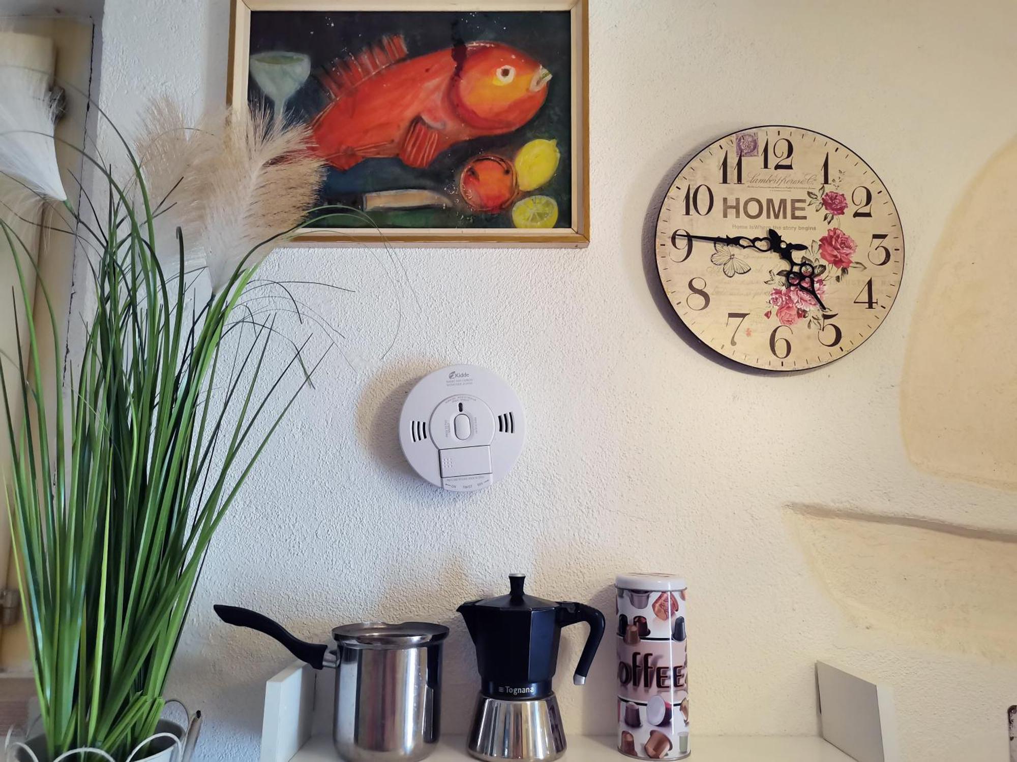 Apartment Alena With Terrace And Garden Center Jelsa 젤사 외부 사진